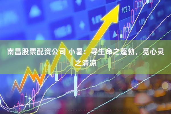 南昌股票配资公司 小暑：寻生命之蓬勃，觅心灵之清凉